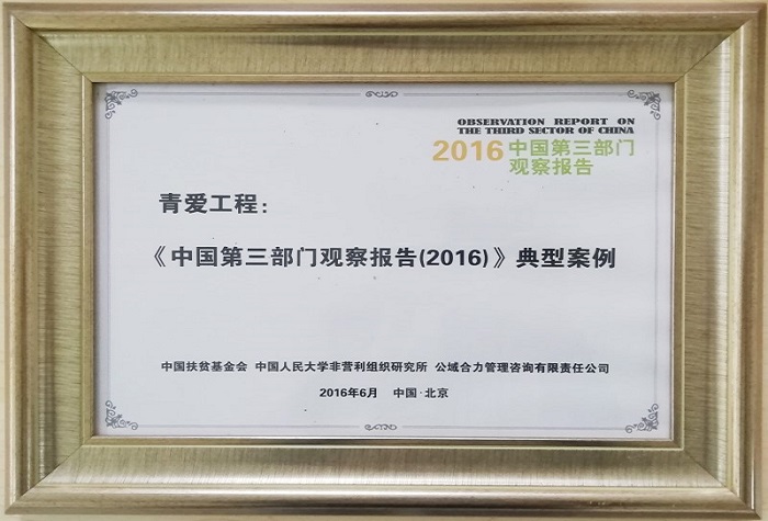 The typical case in the book - OBSERVATION　REPORT ON THE THIRD SECTOR OF CHINA(2016)