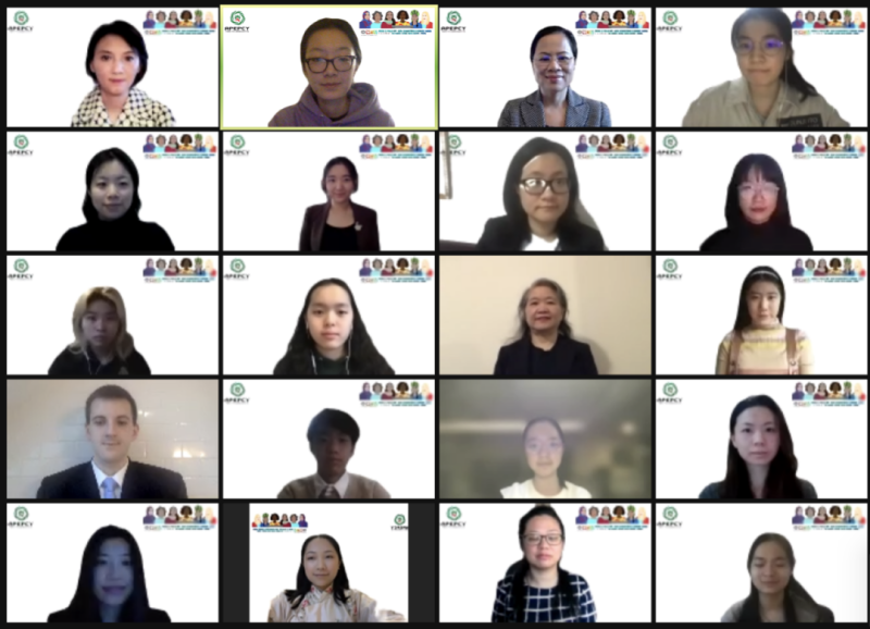 第65届联合国妇女地位委员会特别会议4