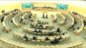 Changier along with other Chinese social organizations submitted written statements to the 50th session of the UN Human Rights Council