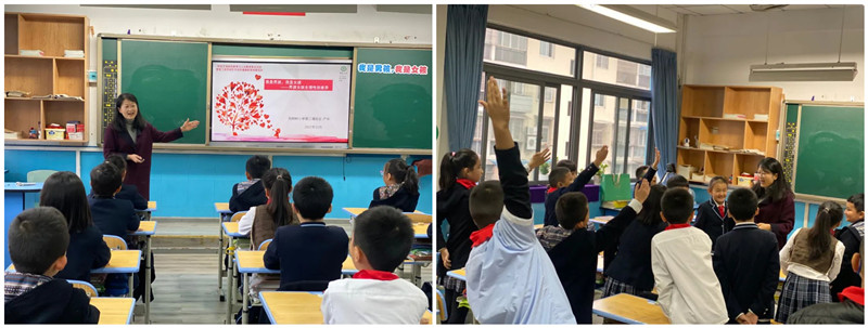 泡桐树小学3_副本