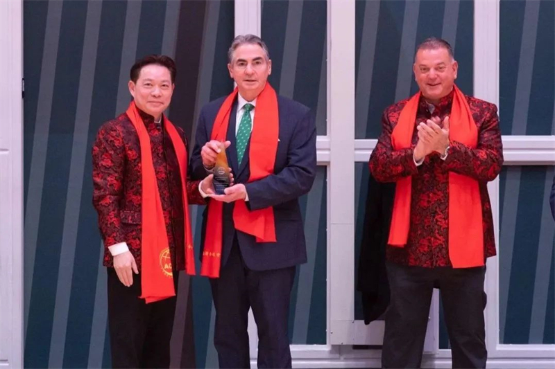 图片8