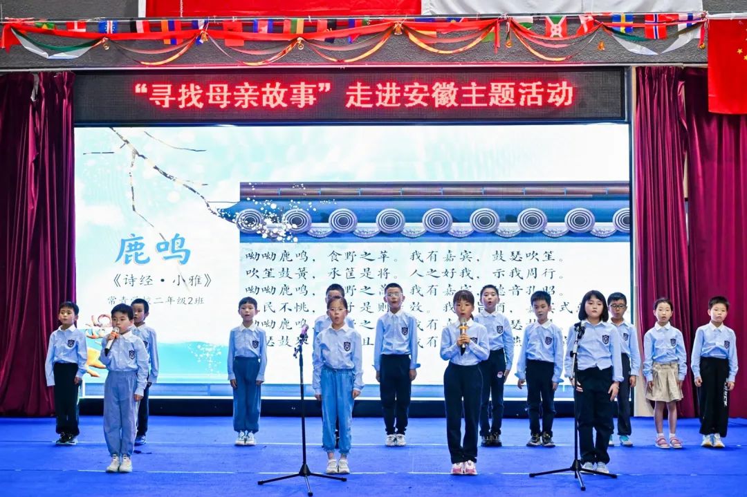 图片8