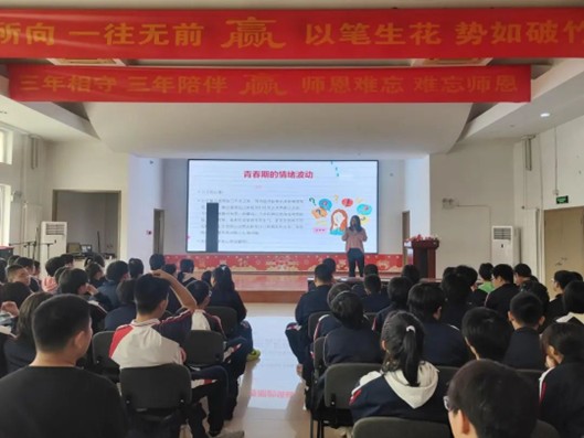 图片13